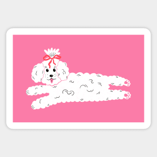 Cute maltipoo coquette dog with bow in clouds illustration. dog lover art gift Sticker